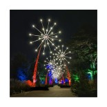 Christmas At Kew